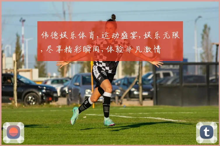 伟德娱乐体育,运动盛宴,娱乐无限,尽享精彩瞬间,体验非凡激情