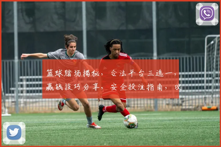 篮球赌场揭秘，合法平台三选一，赢钱技巧分享，安全投注指南，攻略必看