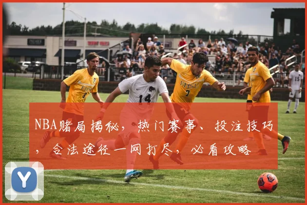 NBA赌局揭秘，热门赛事、投注技巧，合法途径一网打尽，必看攻略