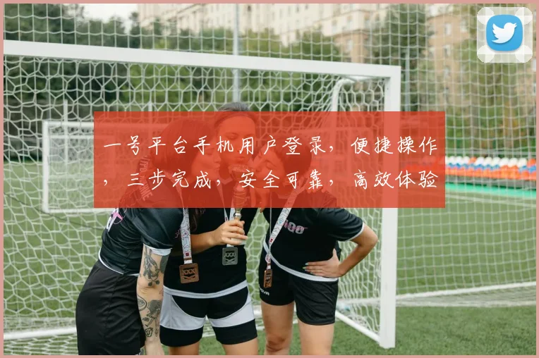 一号平台手机用户登录，便捷操作，三步完成，安全可靠，高效体验