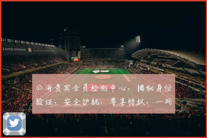 公海贵宾会员检测中心，揭秘身份验证，安全护航，尊享特权，一网打尽