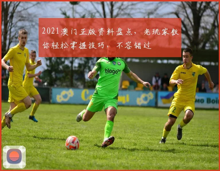 2021澳门正版资料盘点，老玩家教你轻松掌握技巧，不容错过